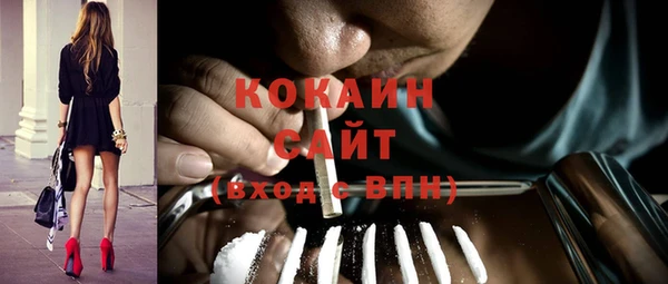 стафф Алзамай